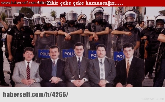 22115_m.jpg