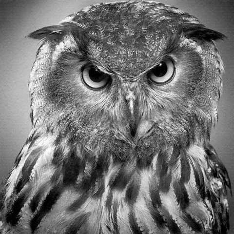 haberself