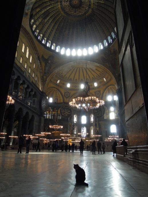 GAZ-31105: Yorumlar her zaman pozitif 1